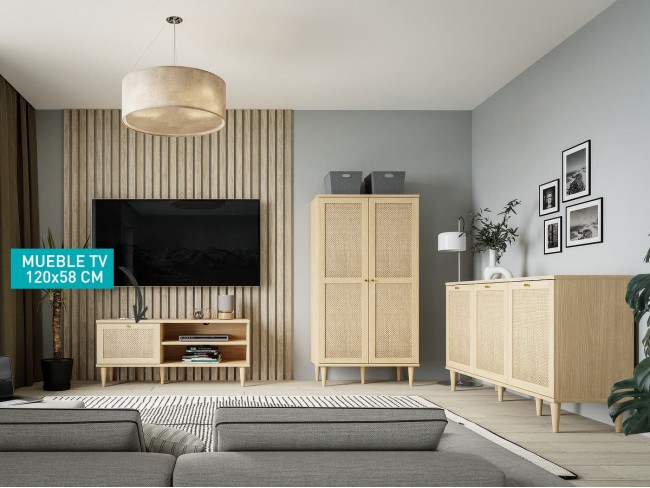 Mueble TV de 120x41x58 cm