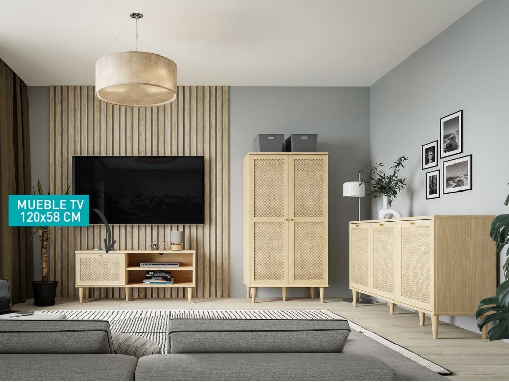 Mueble TV de 120x41x58 cm