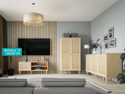 Mueble TV de 120x41x58 cm